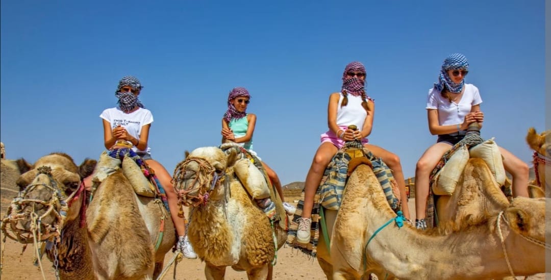 Balade en dromadaire Riad Dar Salam