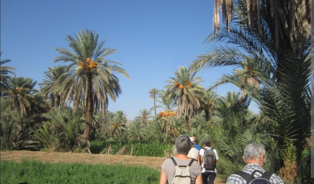 Nature autour Agadir